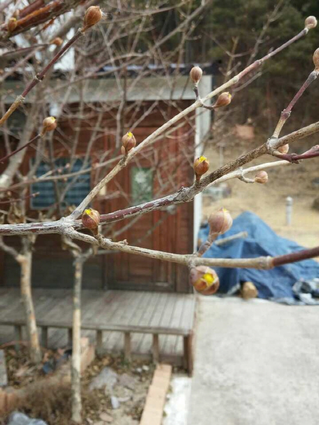 크기변환_1392279671031.jpg