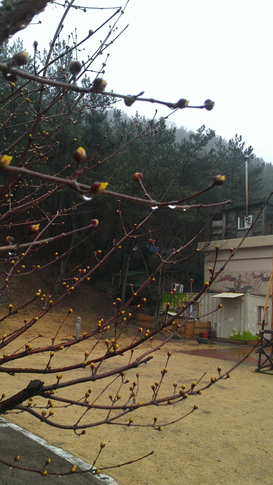 크기변환_2014-02-26 16.33.28.jpg