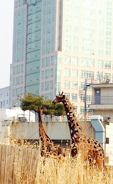 사진_1~1.JPG