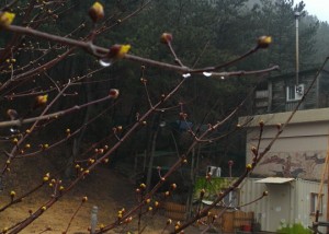 크기변환_2014-02-26 16.33.28.jpg