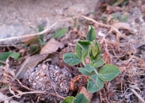 20140216_173301.jpg