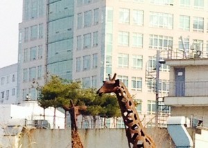 사진_1~1.JPG