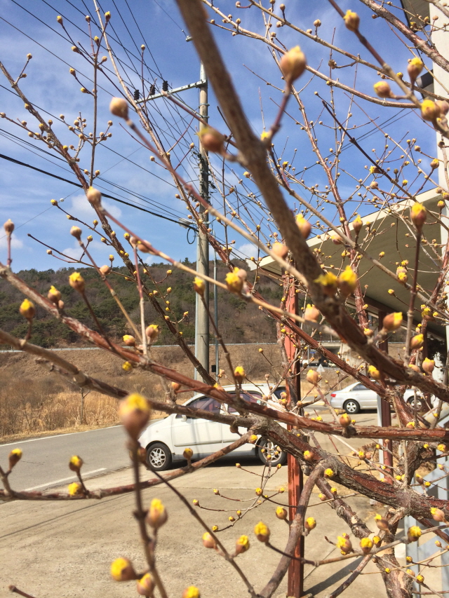 140331_002.JPG