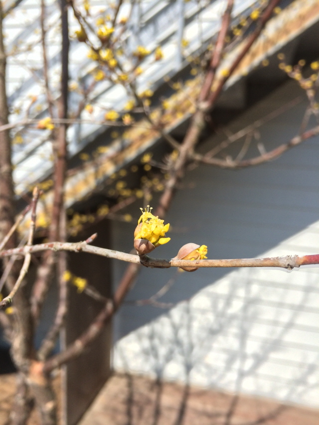 140331_006.JPG