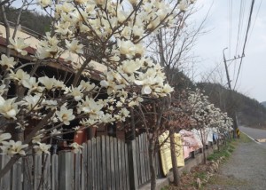 크기변환_CAM00330.jpg