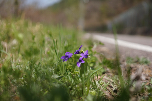 크기변환_DSC04606.JPG