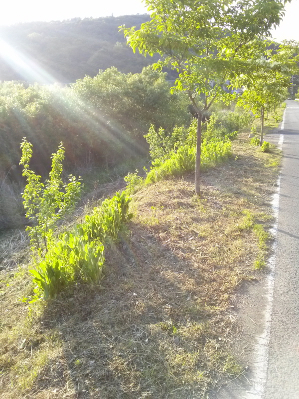 크기변환_CAM03764.jpg