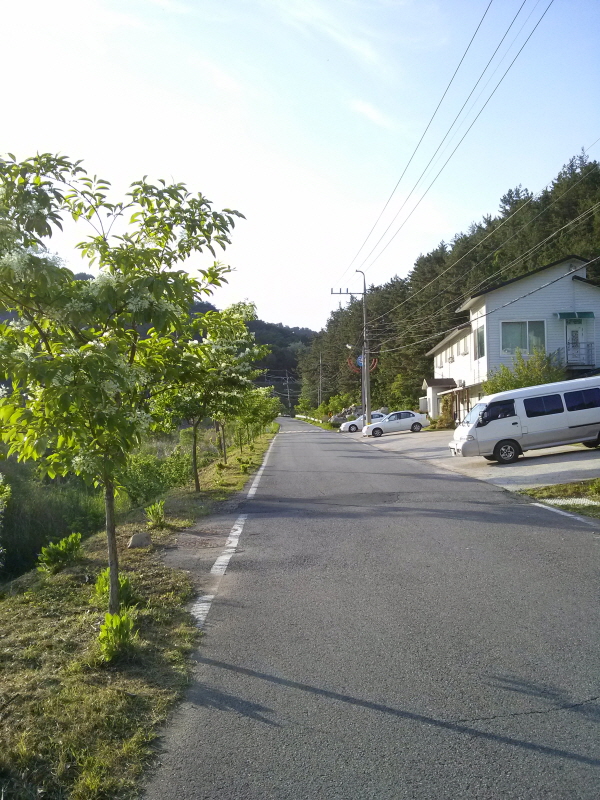 크기변환_CAM03770.jpg