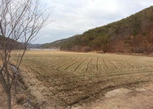 2014-02-10 17.27.55.jpg