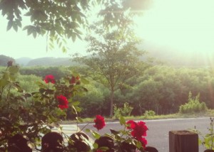 r_PicsArt_1400769067427.jpg