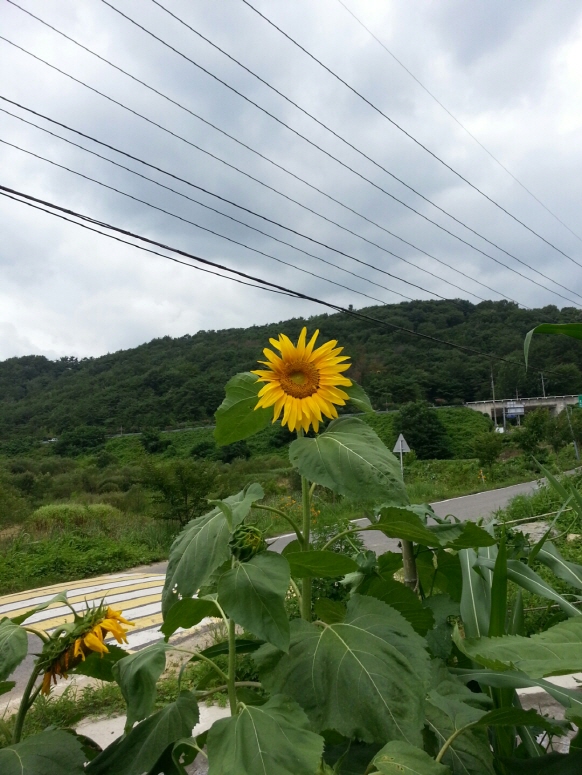 크기변환_KakaoTalk_20140724_183033981.jpg