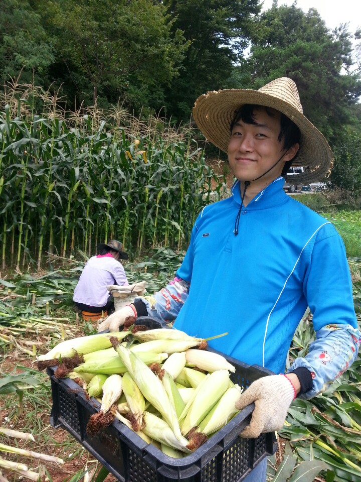 농사이야기 (7).jpg