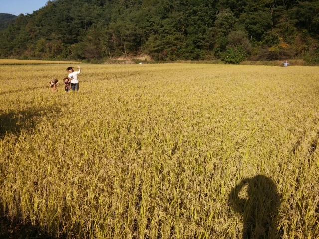 크기변환_1413701540559.jpeg