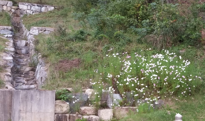 사본 -20140920_161911_HDR.jpg