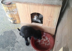 크기변환_사본 -1415700926176.jpg
