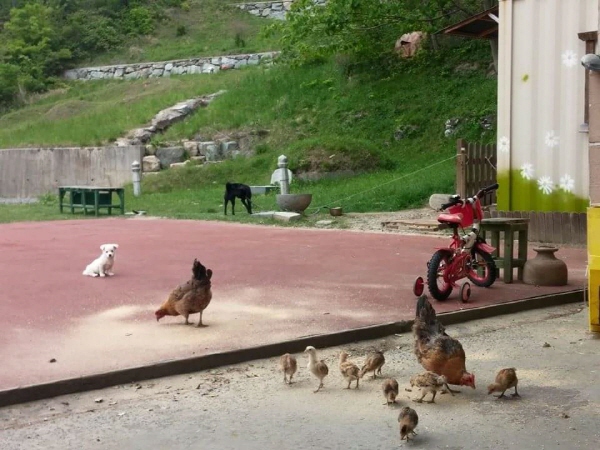 크기변환_FB_IMG_1432002133504.jpg